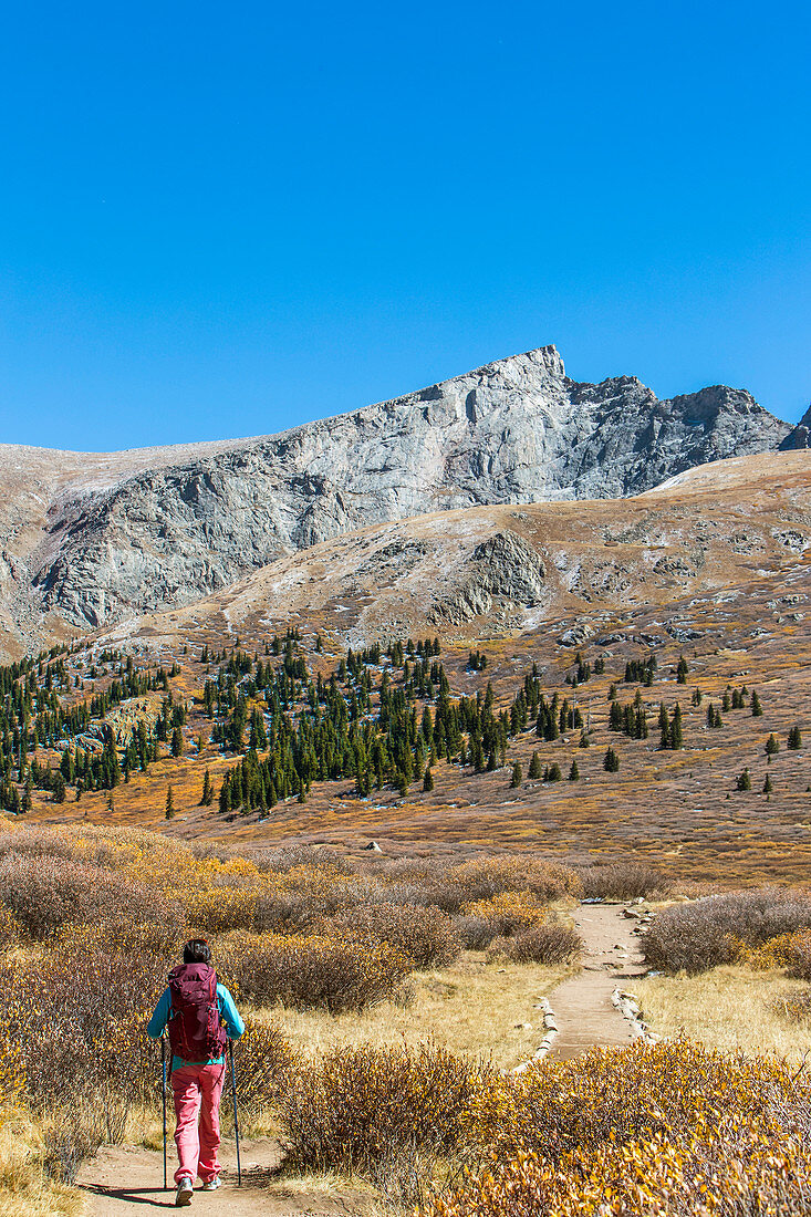 Young Female Hiker Hiking On A Trail Beneath Mount Bierstadt In Colorado