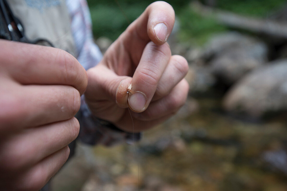 Person Hand Tying A Small Nymph While Fishing For Small Native Brook Trout