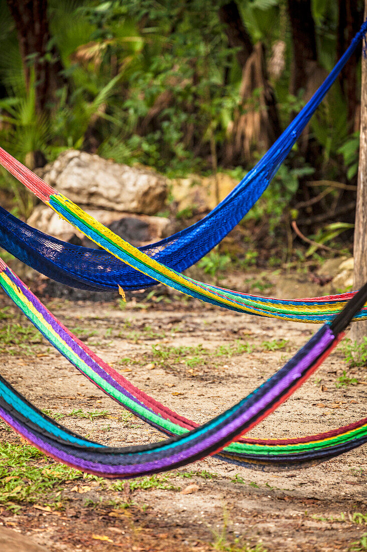 Hammocks hang in the jungle in Belize