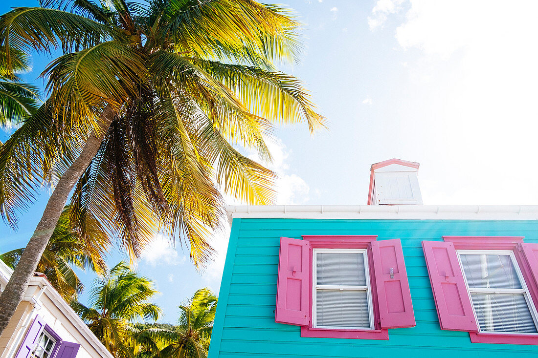 Blue House With Pink Windows And A Palm In Soper's Hole, Tortola