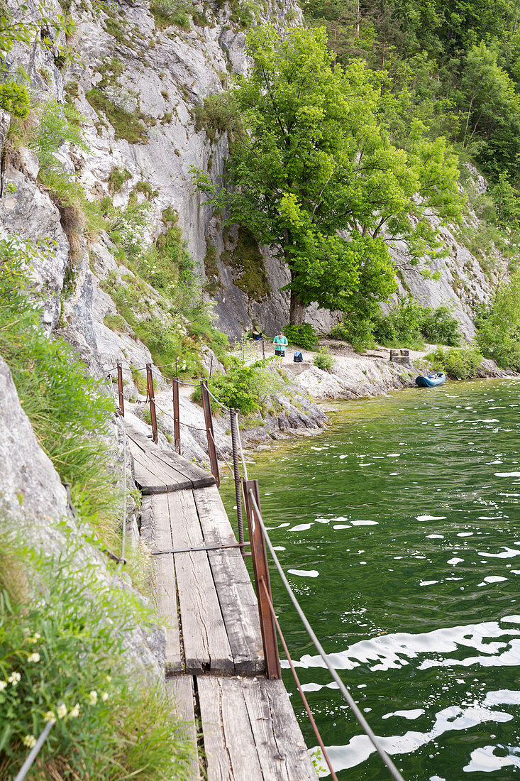 Miesweg, hiking trail along Lake Traunsee, Upper Austria, Austria, Europe