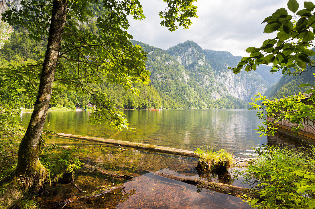 Lake Toplitzsee, Bad Aussee, Styria, Austria, Europe