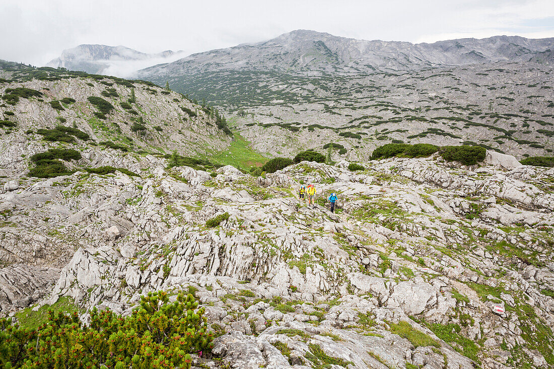 Wanderer in der Karstlandschaft, Totes Gebirge, Bad Aussee, Steiermark, Österreich, Europa