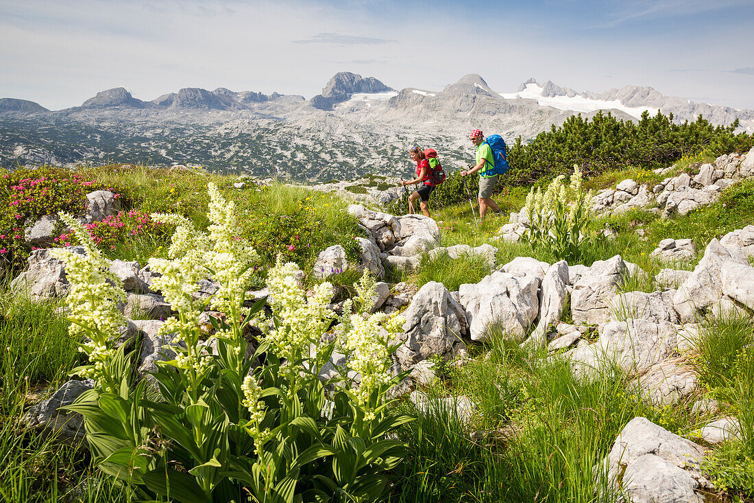 Ein Mann und eine Frau beim Wandern, Bergfrühling am Krippenstein, Dachsteinmassiv, Oberösterreich, Österreich, Europa