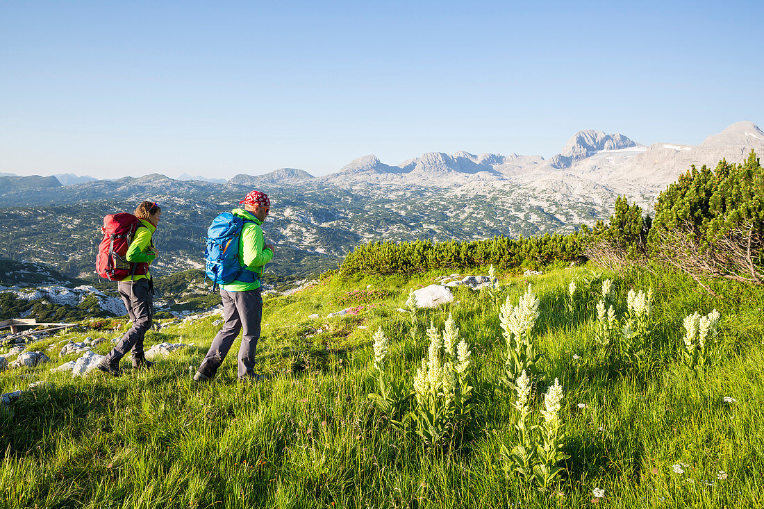 A man and a woman hiking through mountain landscape in spring at Mount Krippenstein, Dachstein area, Upper Austria, Austria, Europe