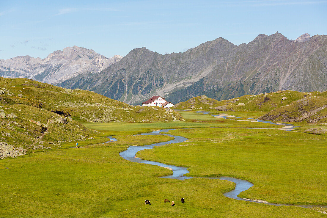 Hohes Moos, Neue Regensburger Hütte, Stubaital, Tirol, Österreich, Europa