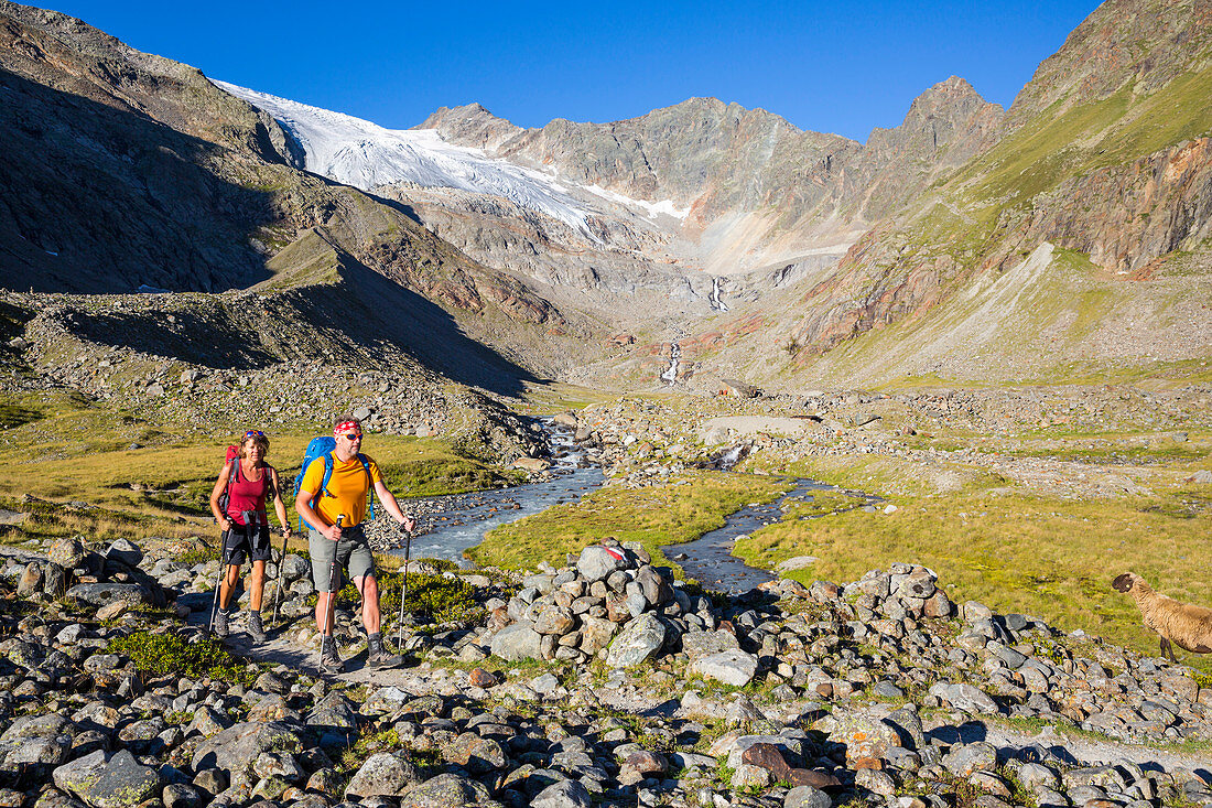 A man and a woman hiking, Sulzenautal and Sulzenau Glacier, Stubai Valley Trail, Stubaital, Tyrol, Austria, Europe