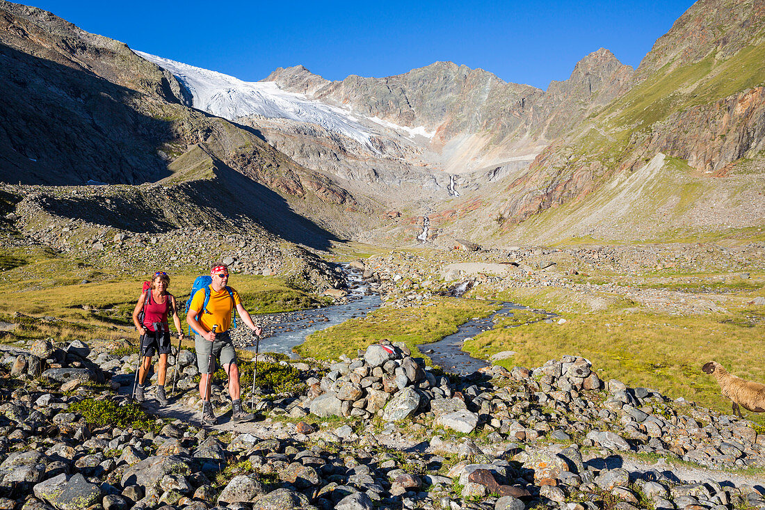 Ein Mann und eine Frau beim Wandern, Sulzenautal und Sulzenau Gletscher, Stubaier Höhenweg, Stubaital, Tirol, Österreich, Europa