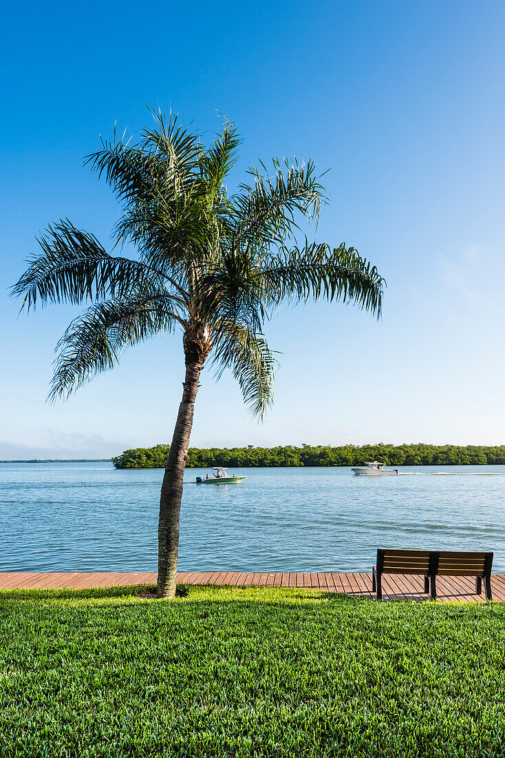Parkbank und Palme an der Ostego Bay mit Blick auf die Wasserstraße, Fort Myers Beach, Florida, USA