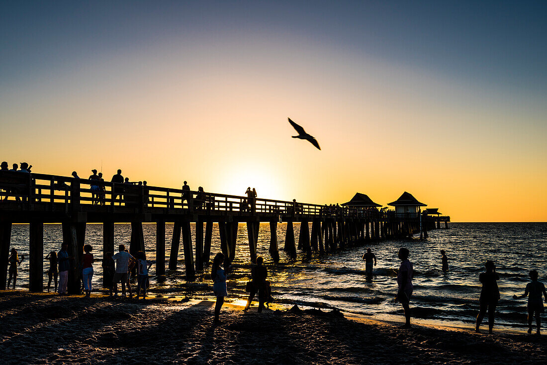 Sonnenuntergang am beliebten öffentlichen Strand am Naples Pier am Golf von Mexiko, Naples, Florida, USA