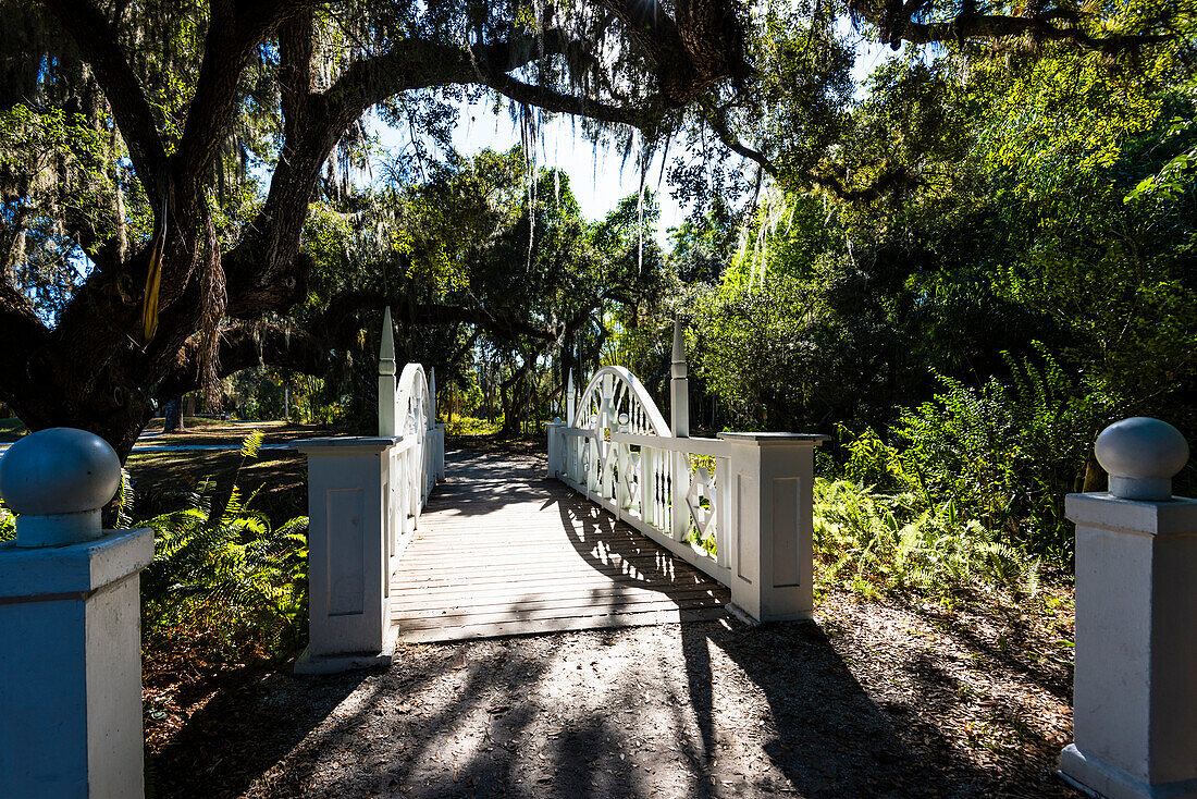 A bridge against the light in the historical Koreshan State Park framed by trees, Fort Myers, Florida, USA