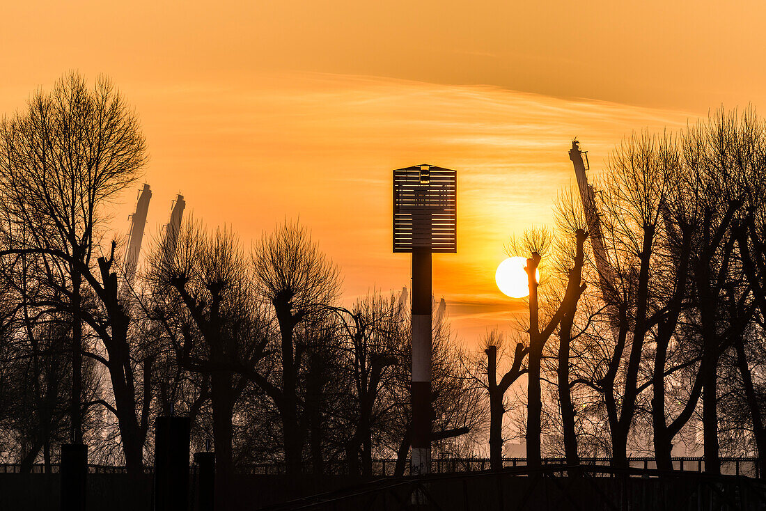 Sunrise along the Elbe with navigational sign, trees and container cranes, Hamburg, Germany
