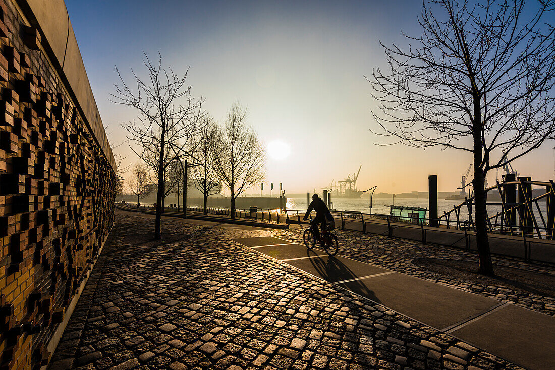 Ein Radfahrer nach Sonnenaufgang am Dalmannkai in der Hafencity mit Blick auf die Elbe, Hamburg, Deutschland