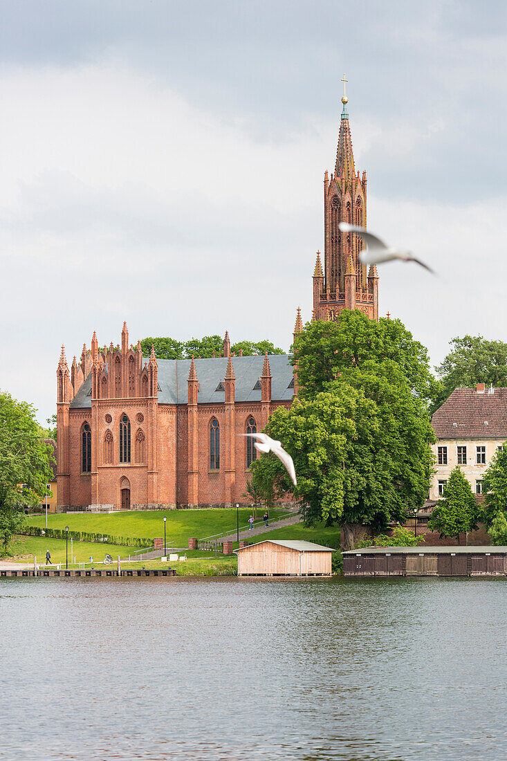 Church of Malchow, monastery of Malchow, today home of an organ museum, Mecklenburg lakes, Mecklenburg lake district, Mecklenburg-West Pomerania, Germany, Europe