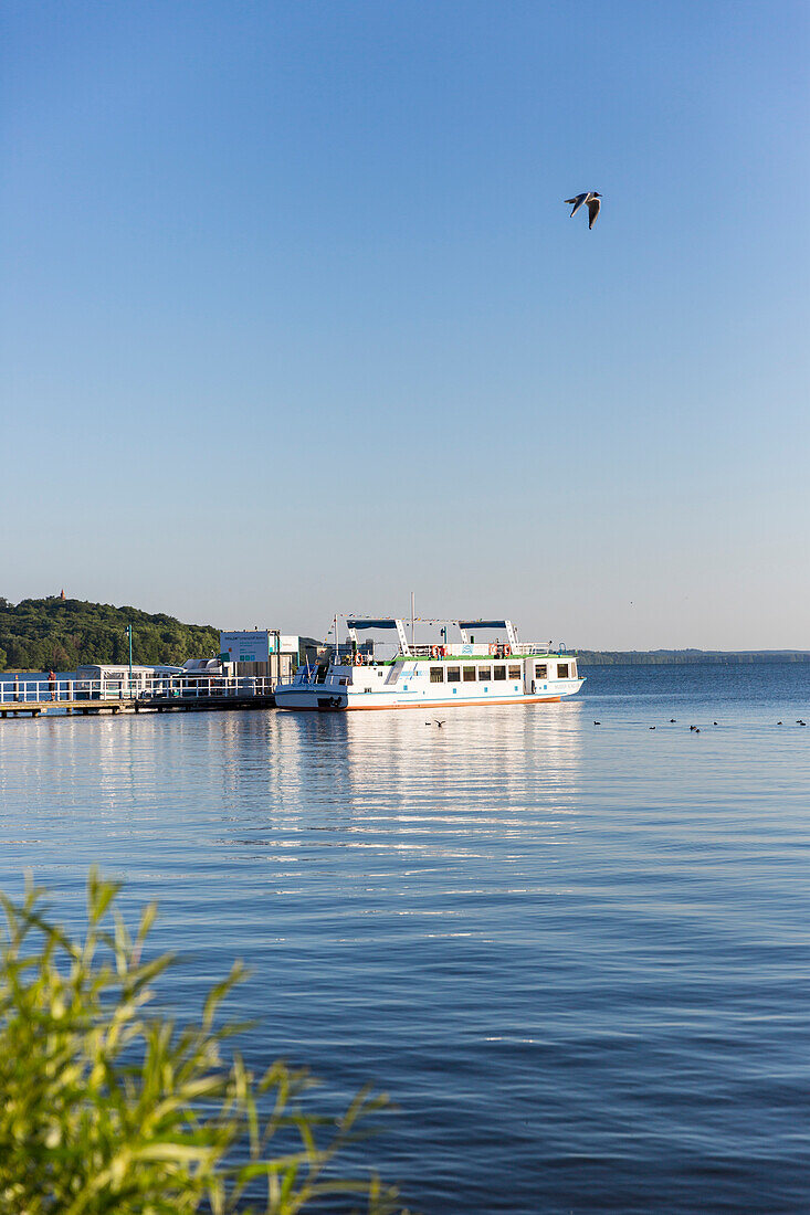 ferry at Tollense lake, Neubrandenburg, Mecklenburg lakes, Mecklenburg lake district, Mecklenburg-West Pomerania, Germany, Europe