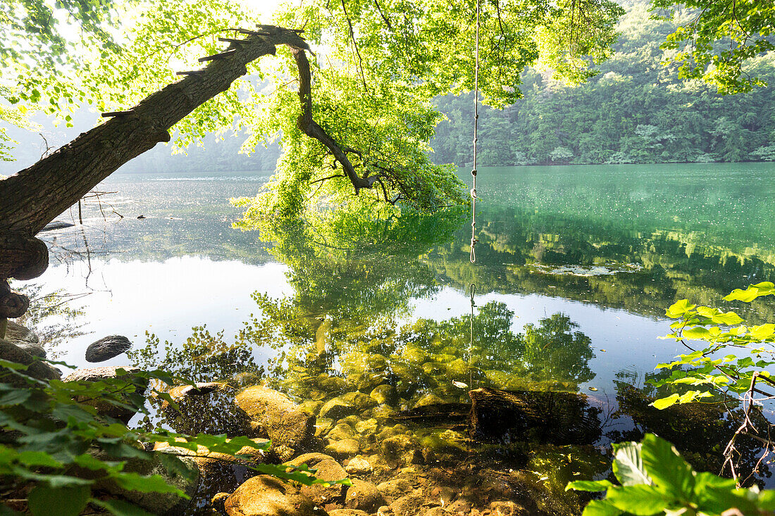 klares Wasser, Badestelle, Schmaler Luzin, Urlaub, Sommer, Ferien, baden, schwimmen, Feldberg, Mecklenburgische Seen, Mecklenburgisches Seenland, Mecklenburgische Seenplatte, Mecklenburg-Vorpommern, Deutschland, Europa