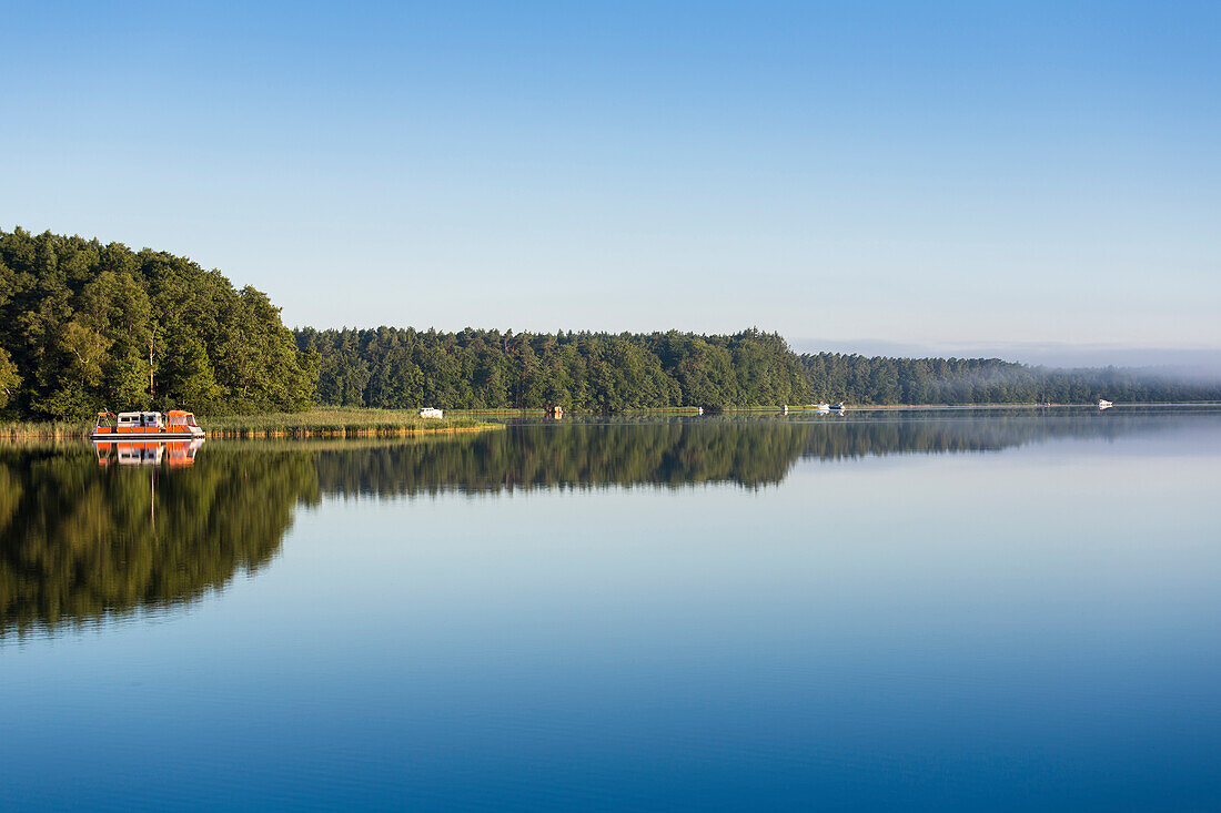 Früher Morgen, Boote, See, Wald, Hausboottour, Hausboot auf dem Zotzensee, Ankerplatz, Kleinseenplatte, südlich der Müritz, Mecklenburgische Seenplatte, Mecklenburgische Seen, Mecklenburg-Vorpommern, Deutschland, Europa