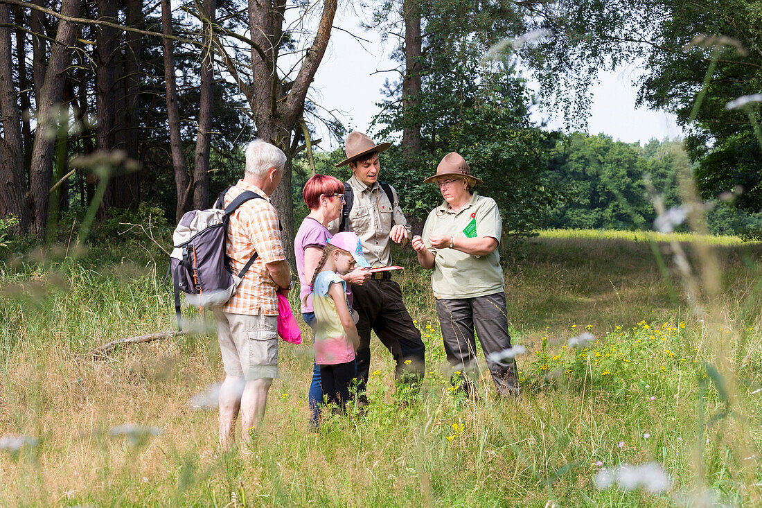 Ranger explaining to his guests, ranger tour, Müritz National park guided tour, forest, Mecklenburg lakes, Mecklenburg lake district, Zwenzow, Mecklenburg-West Pomerania, Germany, Europe