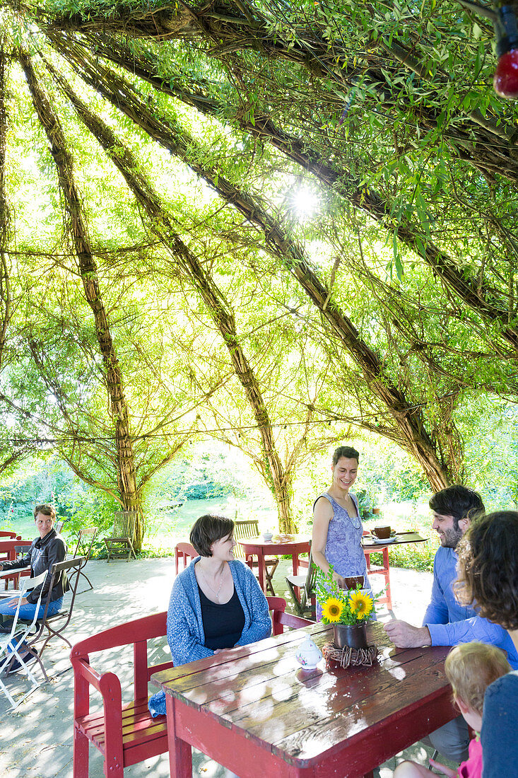 Cafe Alte Schule, willow tree, Mecklenburg lakes, Mecklenburg Switzerland, Baumgarten, Mecklenburg-West Pomerania, Germany, Europe