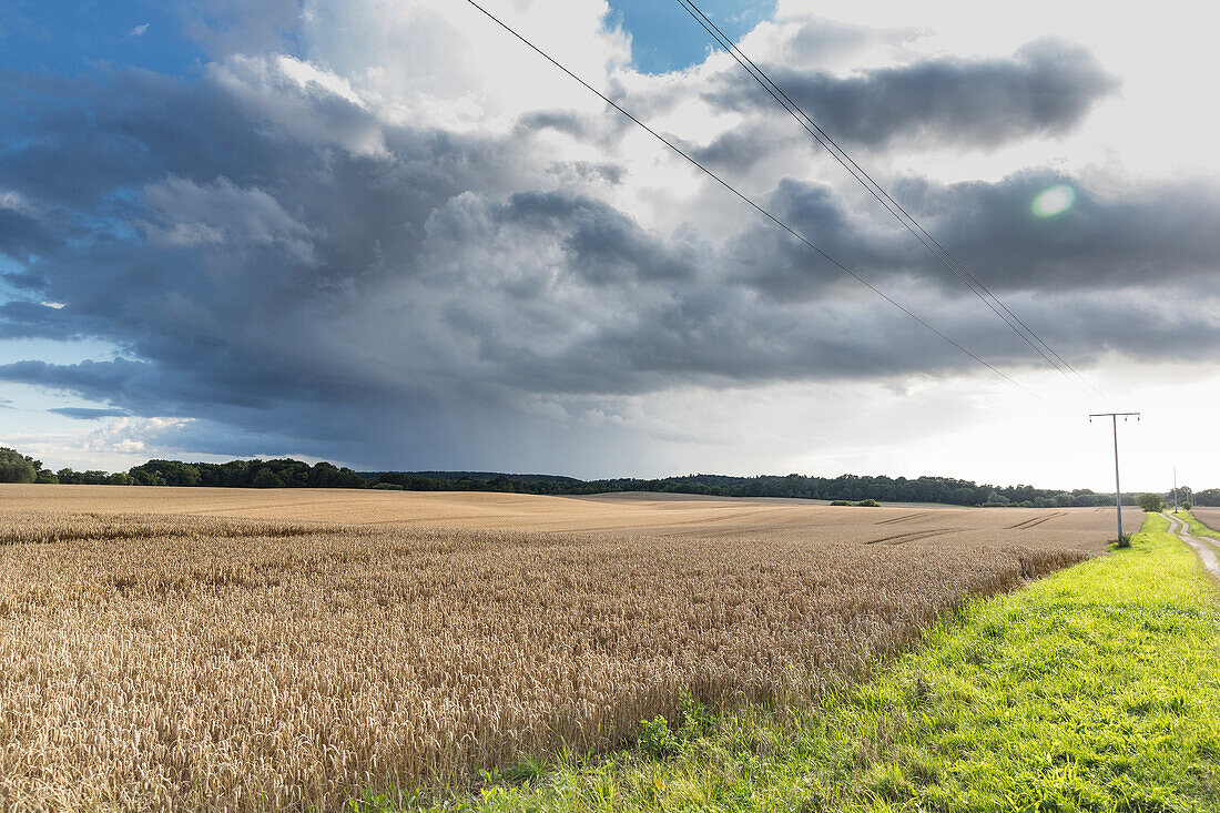 landscape, fields near Klein Thurow, Biosphere Reserve Schaalsee, Mecklenburg lake district, Klein Thurow, Mecklenburg-West Pomerania, Germany, Europe