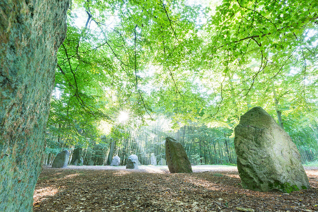 Boitiner Steintanz, bei Tarnow, prähistorische Kult- und Begräbnisstätte mitten im Wald, Westmecklenburg, Mecklenburgische Seenplatte, Mecklenburgische Seen, Tarnow, Mecklenburgische Seen, Mecklenburgisches Seenland, Mecklenburg-Vorpommern, Deutschland, E