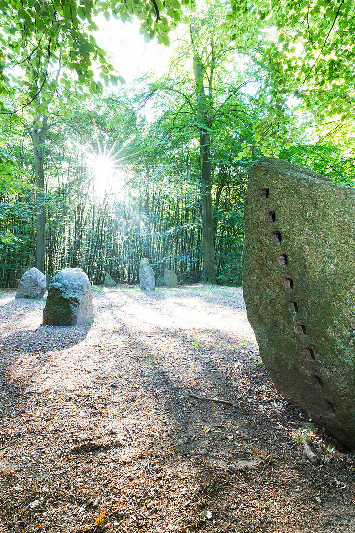 Boitiner Steintanz, bei Tarnow, prähistorische Kult- und Begräbnisstätte mitten im Wald, Westmecklenburg, Mecklenburgische Seenplatte, Mecklenburgische Seen, Tarnow, Mecklenburgische Seen, Mecklenburgisches Seenland, Mecklenburg-Vorpommern, Deutschland, E