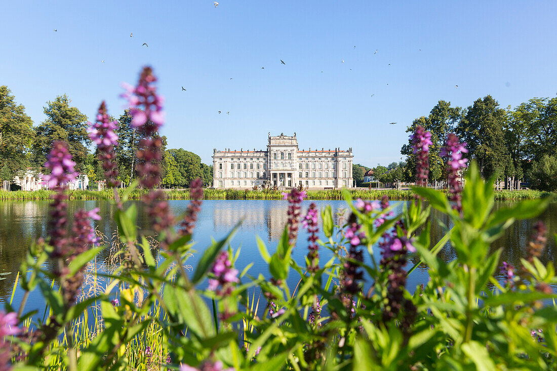 Castle Ludwigslust, lake, flowers, Mecklenburg lakes, Ludwigslust, Mecklenburg-West Pomerania, Germany, Europe