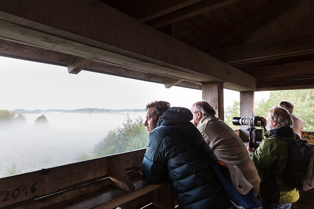 Besucher beobachten Wild. Wiese vor der Wildbeobachtungsstation Schwarzenhof, Müritz-Nationalpark, Mecklenburgische Seen, Mecklenburgisches Seenland, Schwarzenhof, Mecklenburg-Vorpommern, Deutschland, Europa