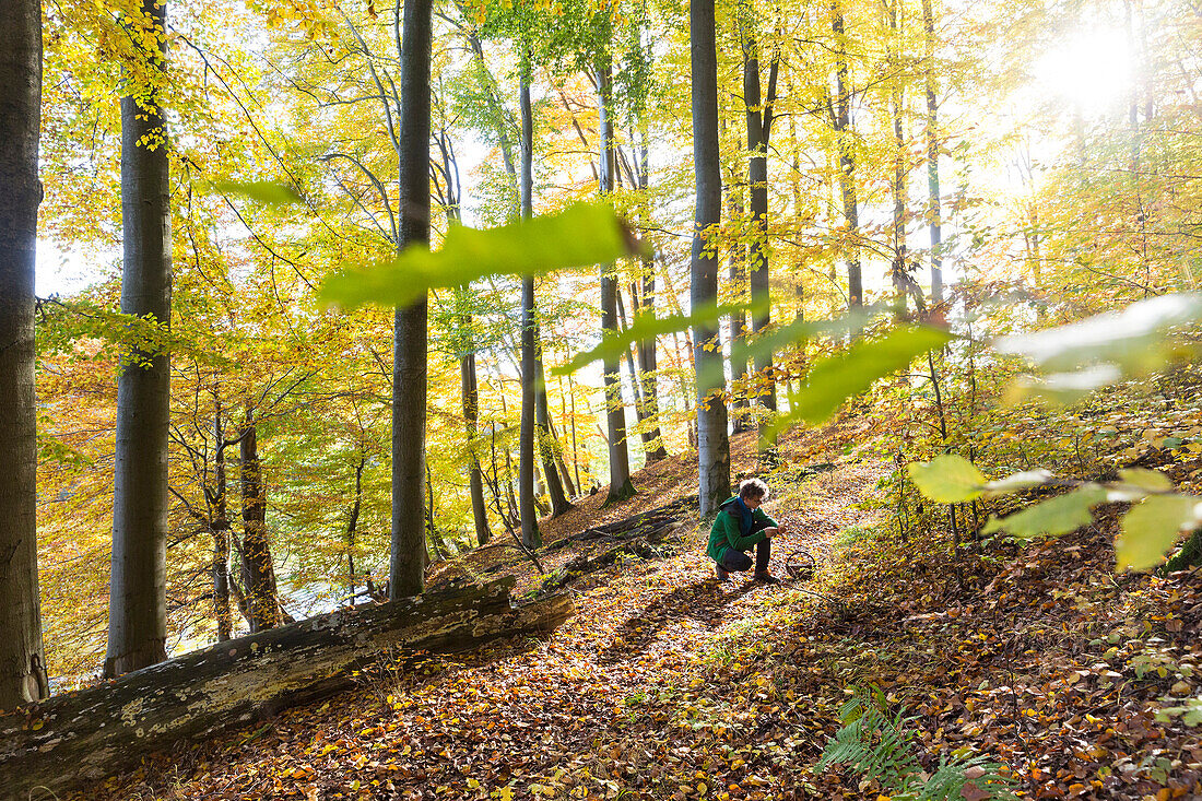 autumn hike from Goldenbaumer Mühle along the lake Mühlenteich until Jugendwaldheim Steinmühle, fall, Müritz National Park, Mecklenburg lakes, MR, near Serrahn, Mecklenburg-West Pomerania, Germany, Europe