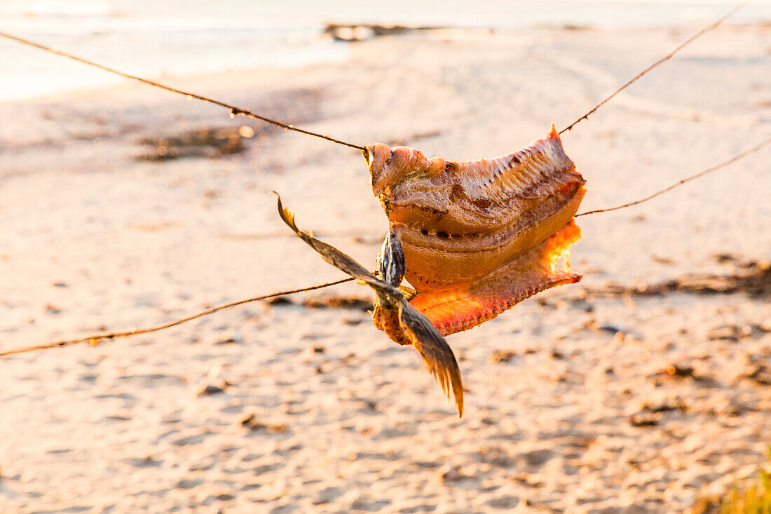 A filleted fish hanging in the light of the sun