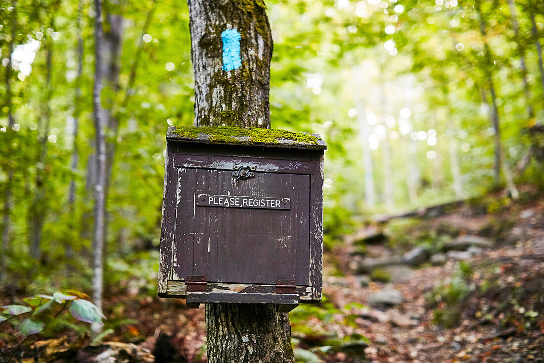 A Trail Log Box Along The Appalachian Trail