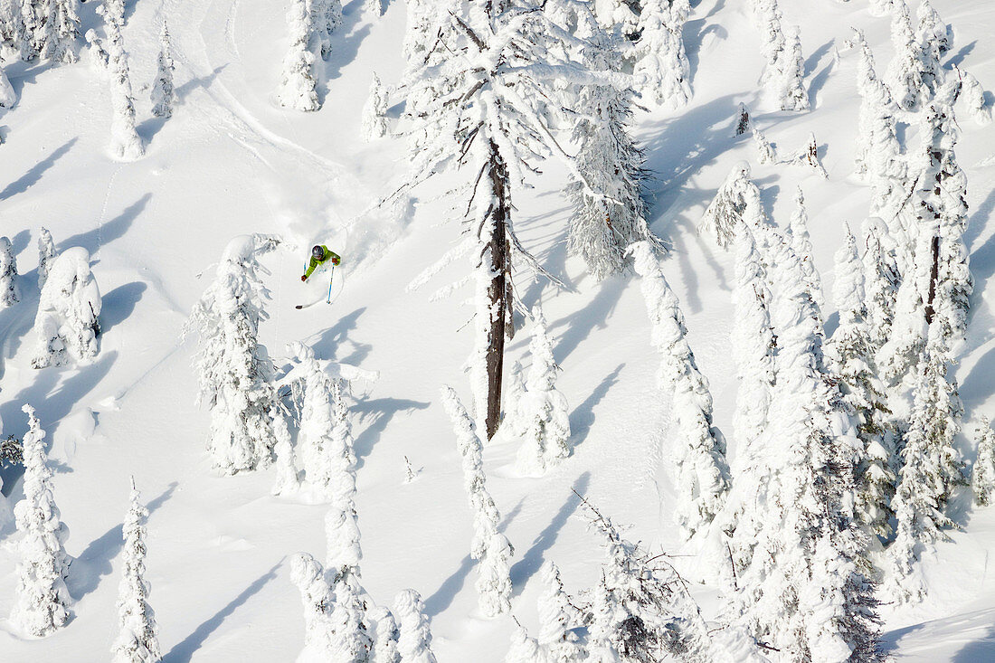 A Lone Male Skier Makes A Deep Powder Turn At Whitefish Mountain Resort In Whitefish, Montana, Usa