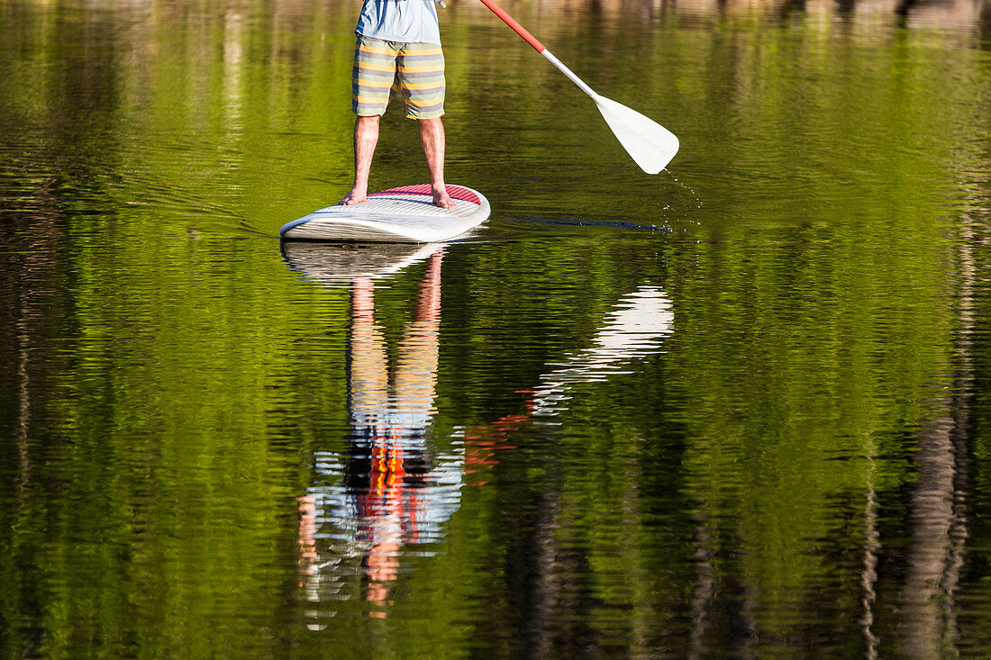 A Man Paddleboarding On Long Pond Near Greenville, Maine