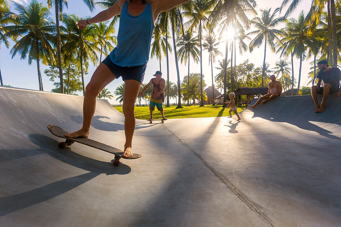 People Skateboarding In Skate Ramp Under Palm Tree