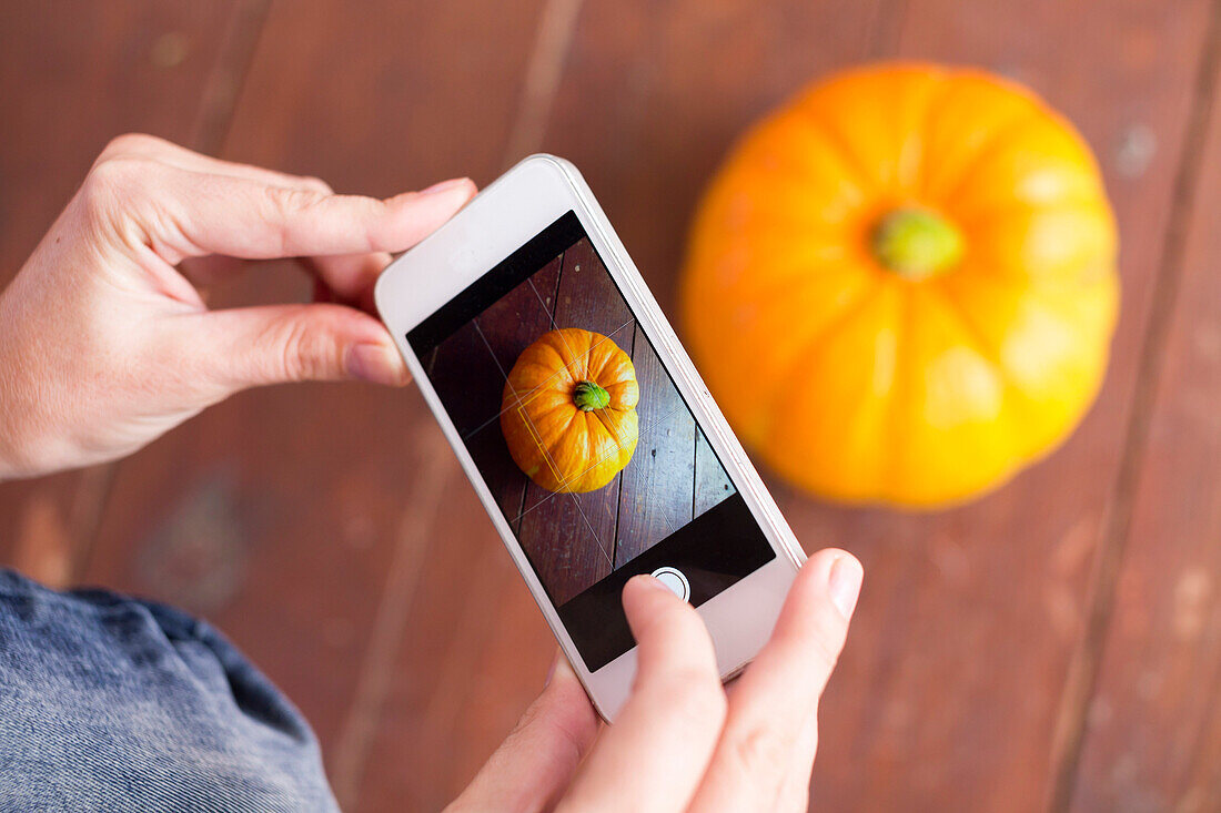 Person Taking Picture Of Pumpkin In Smartphone