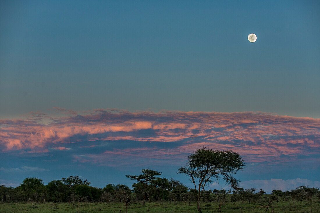 Serengeti Plains Under A Full Moon With Dramatic Sky, Tanzania