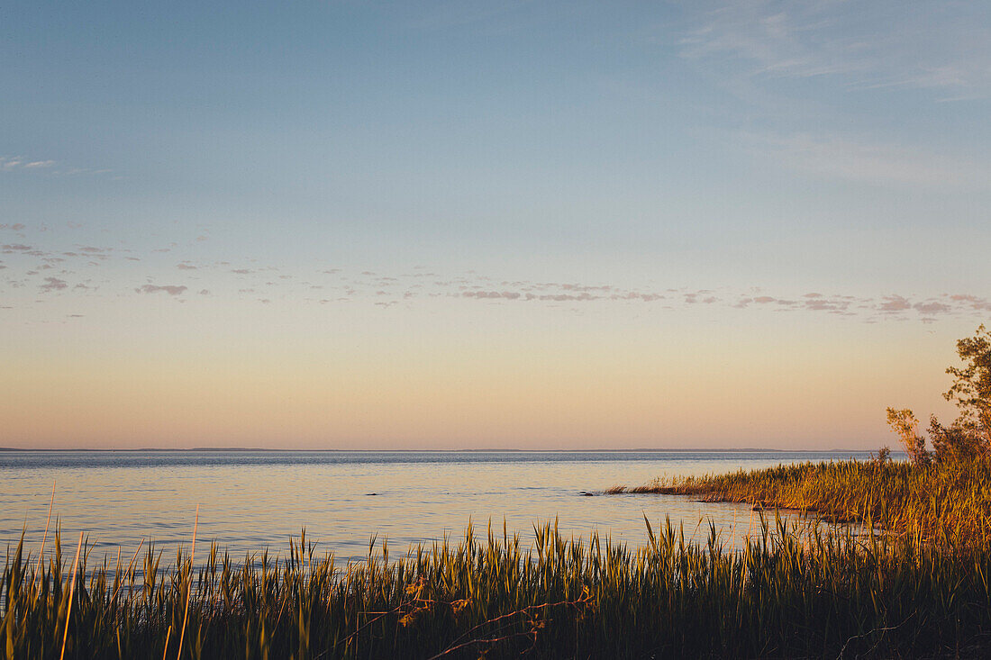 A Reed Bed At Sunset With The Georgian Bay In The Background