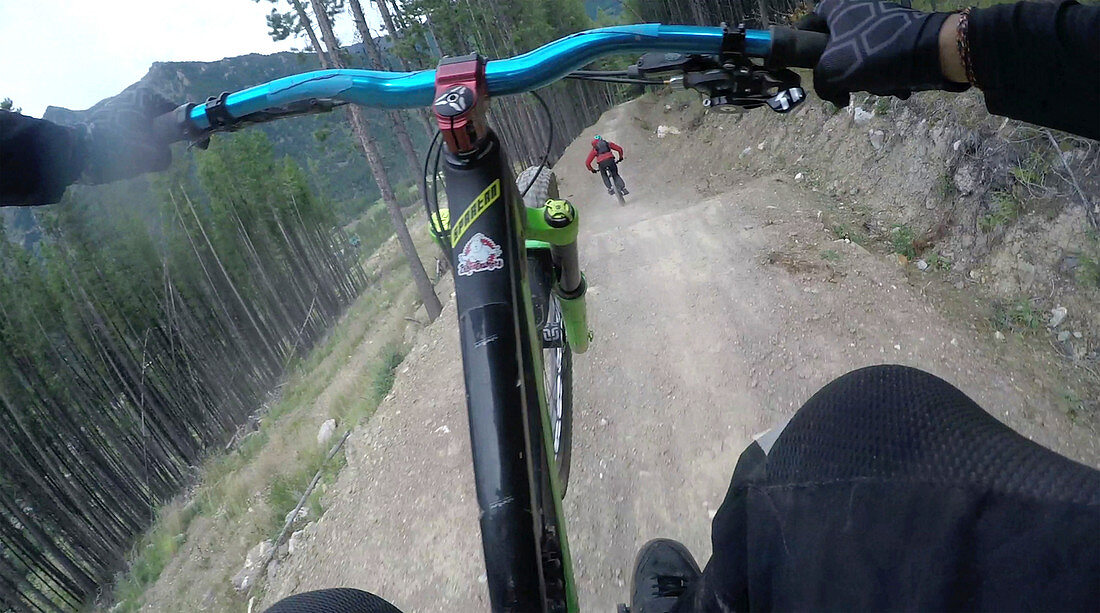 POV past hands of mountain biker on forest ride, wheelie