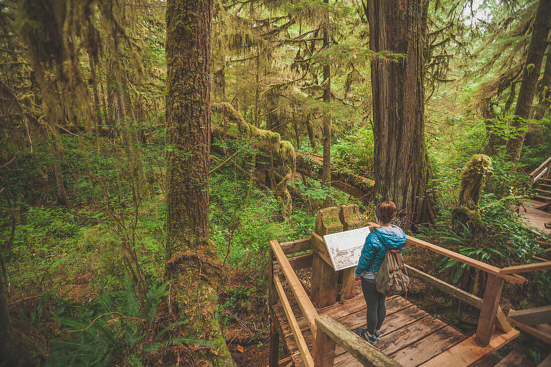 A Woman Reading An Interpretive Sign Along The Rainforest Trail In Pacific Rim National Park, British Columbia