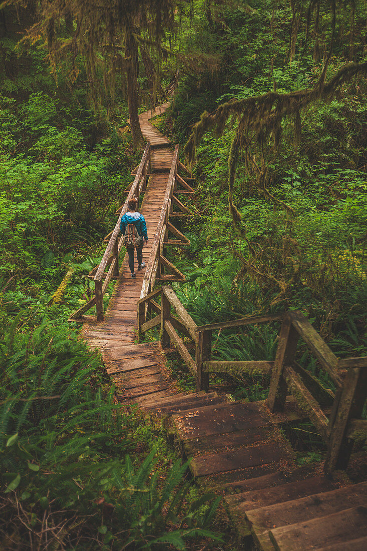 A Woman Hikes Across A Wooden Bridge In Pacific Rim National Park, British Columbia