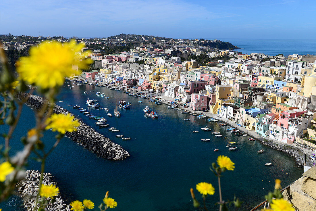 Corricella auf der Insel Procida, Golf von Neapel, Kampanien, Italien