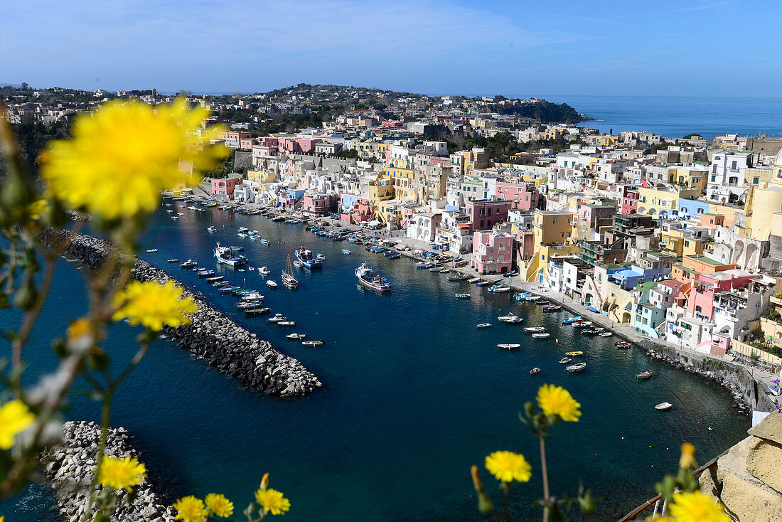 Corricella on the island of ProcidaGolf of Napels, Campania, Italy