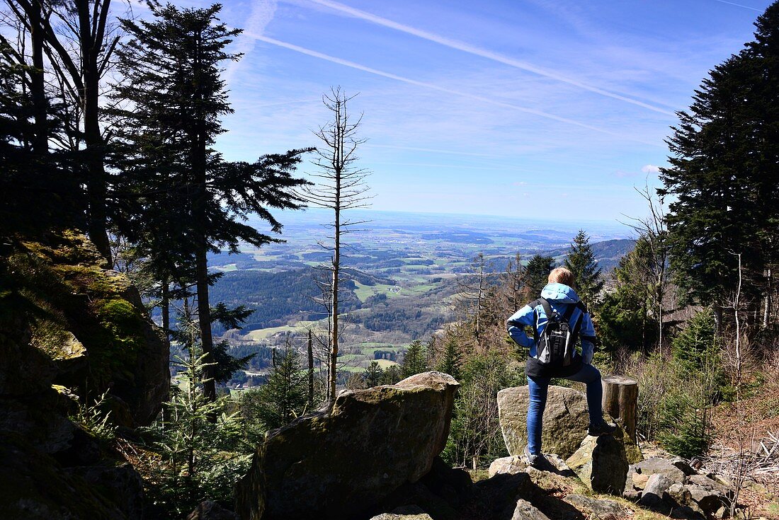 Hiking at Vogelsang near Gotteszell, Bavarian forest, Eastern-Bavaria, Bavaria, Germany