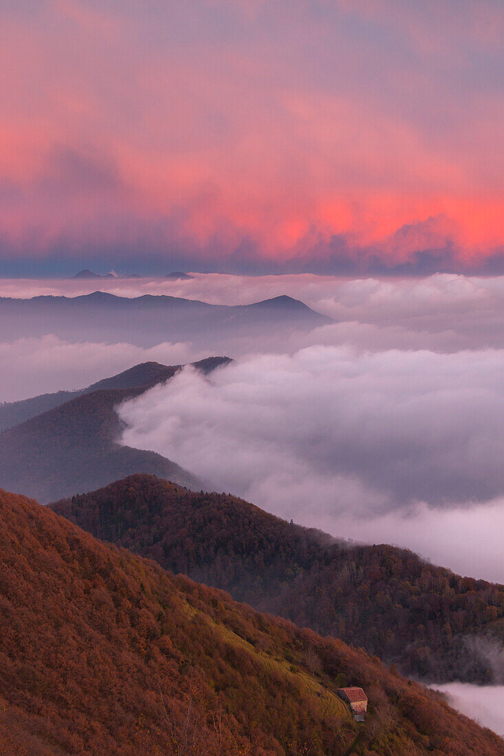 Prealpi orobiche at dusk above the clouds,  Bronzone Mount , Prealpi Orobiche ,  Viadanica, Bergamo province, Lombardy, Italy, Europe