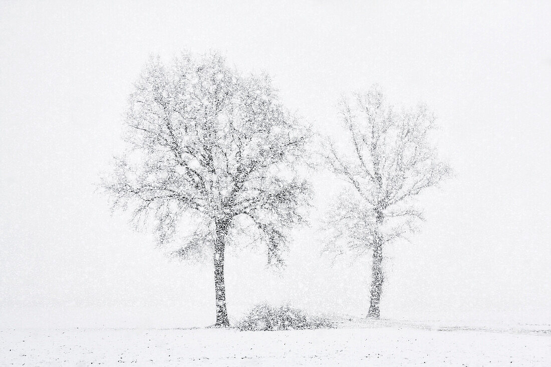 Turin Provinz, Piemont, Italien, Europa, Abstrakt Schnee die Piemont Ebene