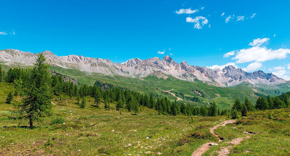 Italy, Trentino Alto Adige, San Pellegrino Pass, the landscape that can be seen from the path 628 to the cimon