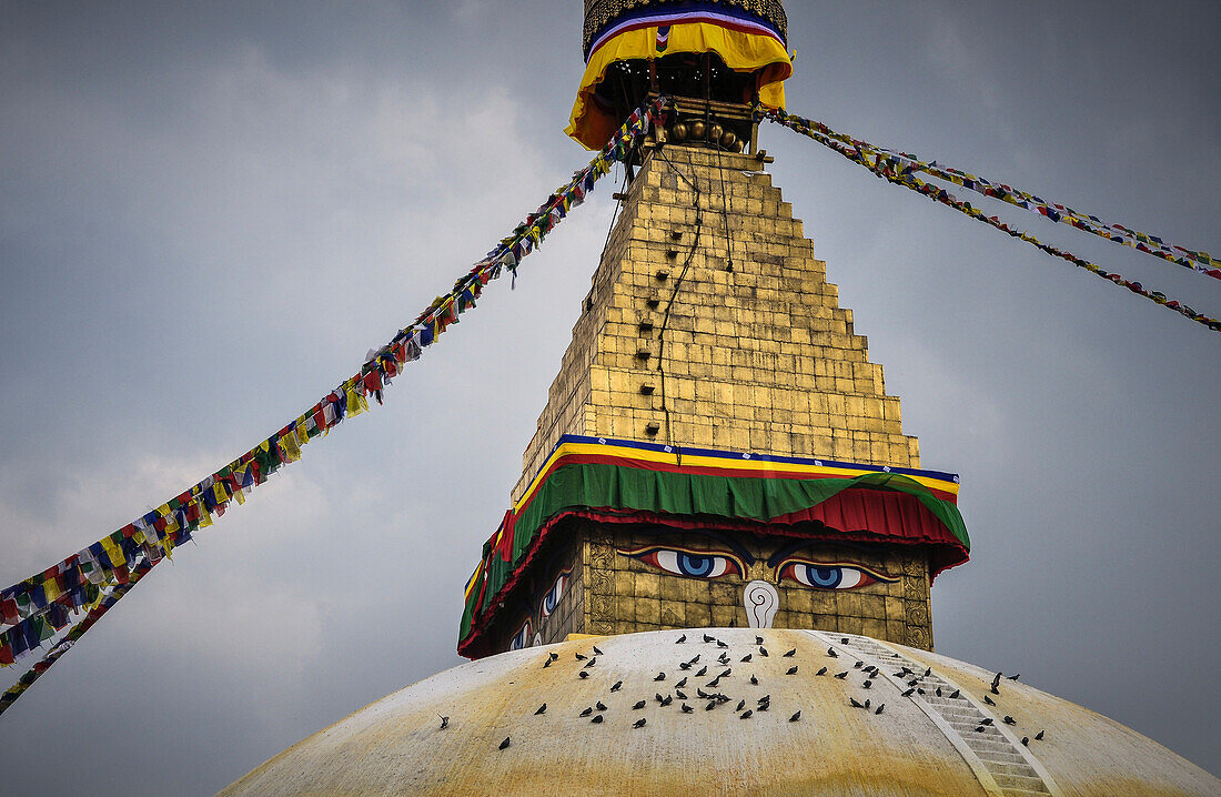 Bouddhanath Stupa mit Tauben, Kathmandu, Nepal, Asien