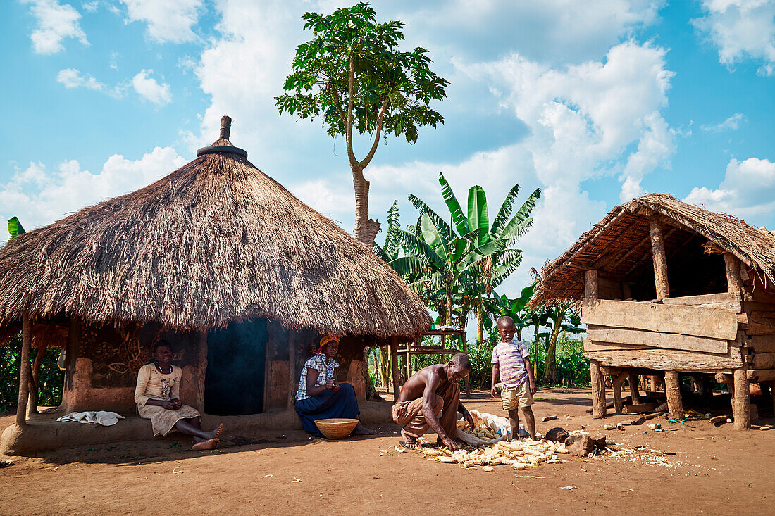 Traditionelle Arbeit in einem Stammesdorf von Afrika, Königin Elizabeth Nationalpark, Kasese, Rwenzururu Unterregion, Western Uganda, Uganda, Afrika