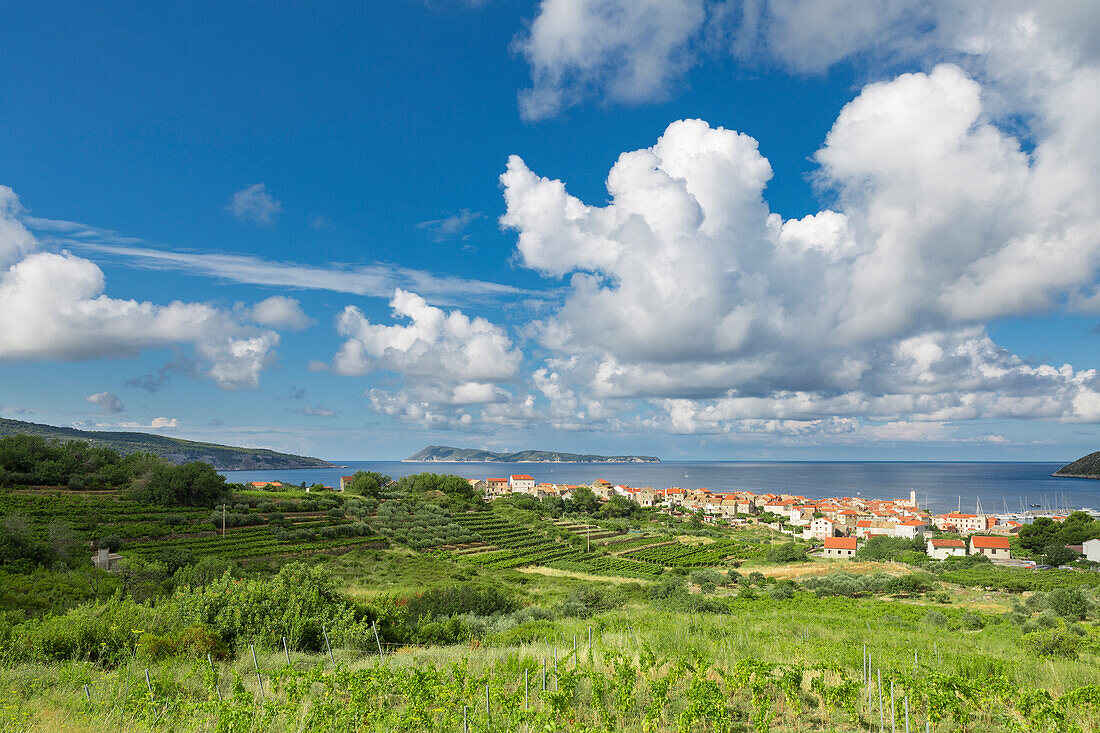 View of Komiza village and its bay , Komiza, Vis, Vis Island, Split-Dalmatia county, Dalmatia region, Croatia, Europe