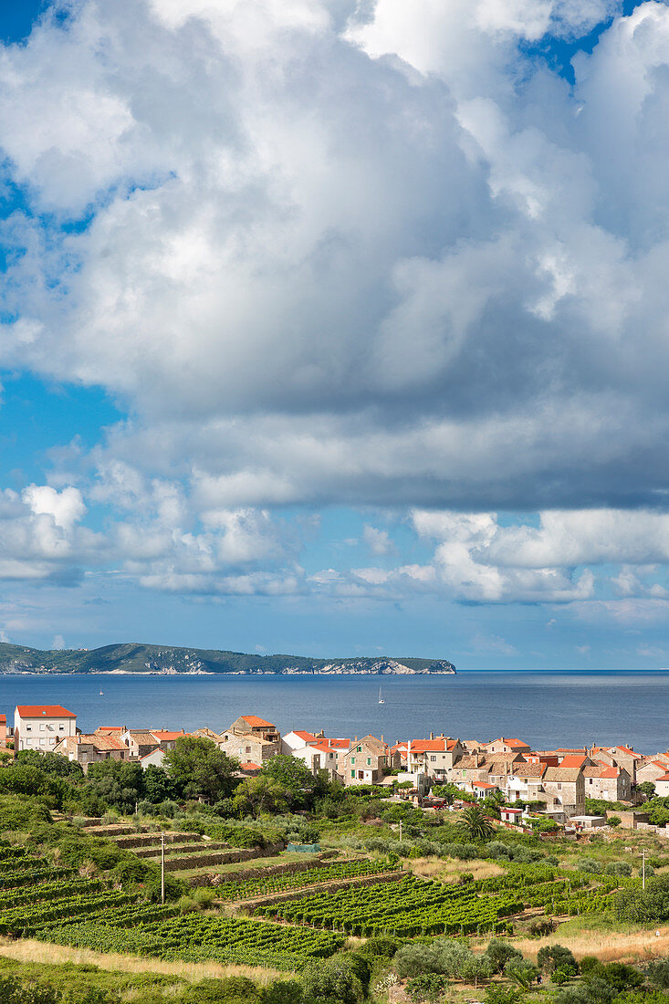 Blick auf Komiza Dorf und seine Bucht, Komiza, Vis, Vis Island, Split-Dalmatien Grafschaft, Dalmatien Region, Kroatien, Europa